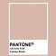 Image result for Pantone Rose Gold 876
