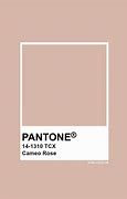 Image result for Rose Gold Pink Pantone