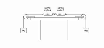 Image result for Spring Scale