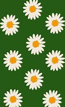 Image result for Wildflower Cases Backround