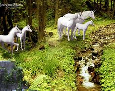 Image result for Unicorn Family