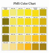 Image result for Gold PMS