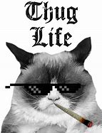 Image result for thugs life cats