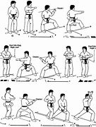 Image result for Karate Types