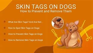 Image result for Blood Skin Tags