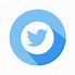 Image result for Twitter Web Button