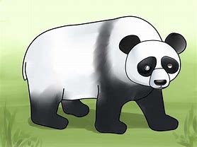 Image result for A Drawing of a Panda