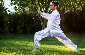 Image result for Kung Fu Tai Chi Styles