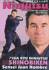 Image result for Ninja Martial Arts