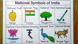 Image result for National Symbols Chart
