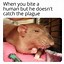 Image result for Evil Rat Meme