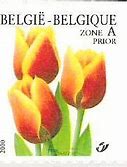 Image result for Belgium National Flower