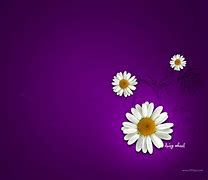 Image result for Top Free Wallpaper