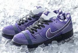 Image result for Nike Dunk Concepts