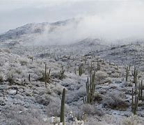 Image result for Winter in Tucson