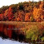 Image result for Autumn Wallpaper for Computer