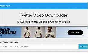 Image result for Twitter Video Downloader Website