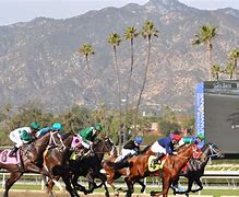 Image result for Santa Anita Race Track Handicappers