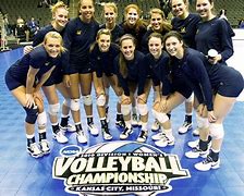 Image result for Cal Bears Volleyball