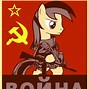 Image result for soviet ponies