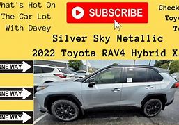 Image result for 2019 Toyota RAV4 Silver Registration