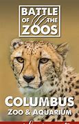 Image result for Columbus Zoo Animals