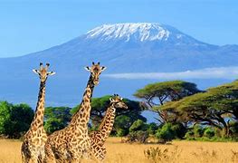 Image result for Kenya Africa