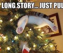 Image result for Christmas Cat Humor