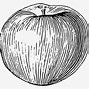 Image result for Apple Clip Art Black and White Simple