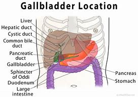 Image result for Gallbladder Attack Pain Location