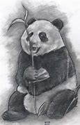 Image result for Panda Sketch Full Body