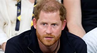 Image result for Prince Harry Heir It Is