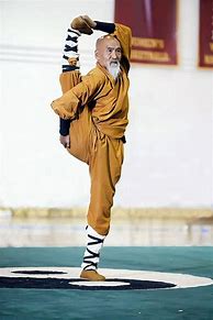 Image result for Shaolin Martial Arts Poses