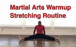 Image result for Martial Arts Stretching School