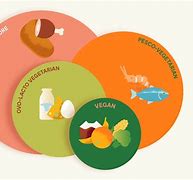 Image result for Types of Vegetarians Chart