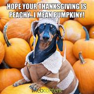 Image result for Thanks Boss Funny