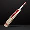 Image result for Cricket Bat Red