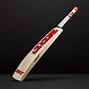 Image result for Special Cricket Bats