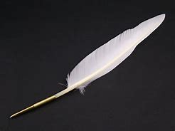 Image result for Goose Feather Pen