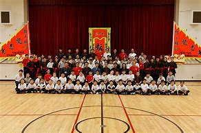 Image result for Northern Shaolin Kung Fu