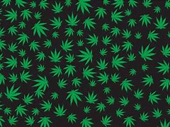 Image result for Weed Lock Screen