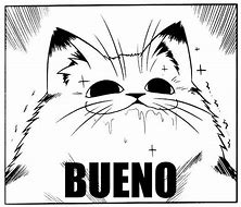 Image result for Bueno Cat Meme