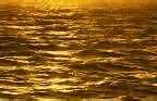 Image result for Gold Wallpaper for iPhone