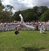 Image result for Capoeira Moves