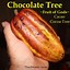 Image result for Theobroma Cacao Chocolate Tree