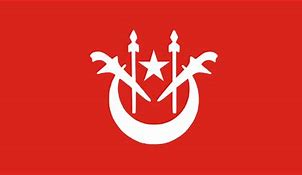 Image result for Kota Bharu Flag