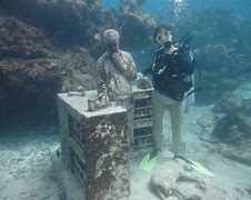 Image result for Sunken Ship Bodies