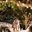 Image result for Disney Wedding Couples