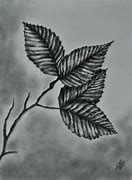 Image result for Leaf Pencil Drawing