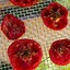 Image result for Homemade Dehydrator Meals
